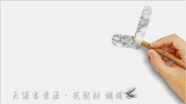 天保寨景区·花驼村 蝴蝶谷