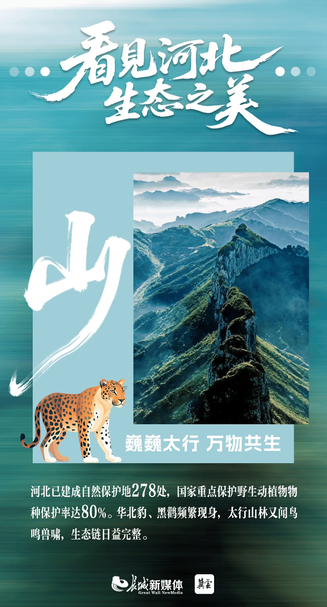 3山
