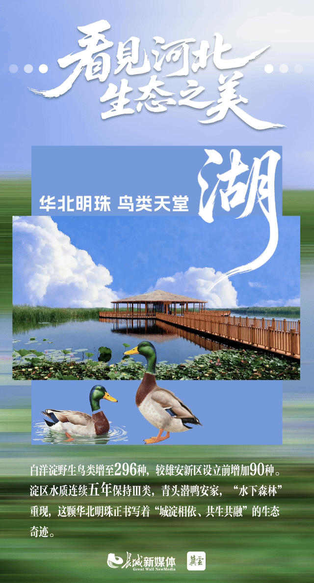 2湖