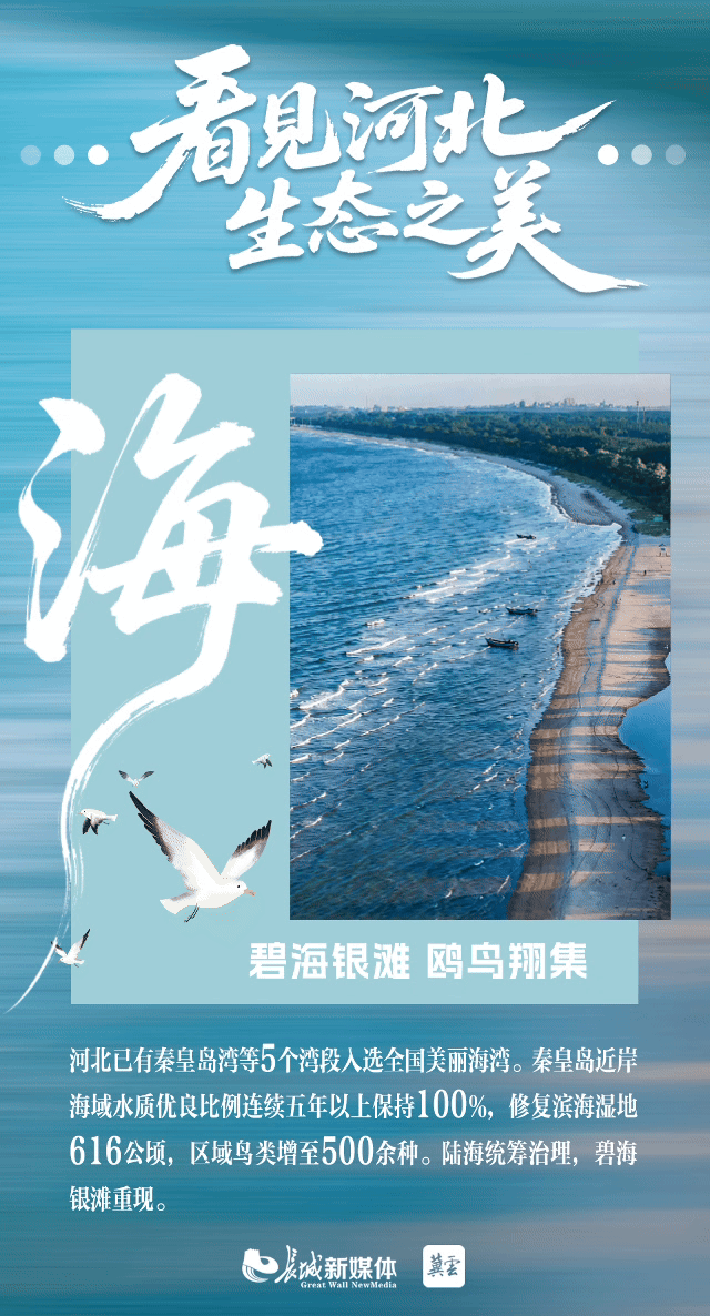 6海